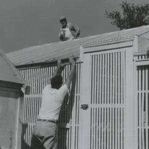 Lath House construction