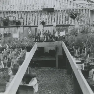Lath House