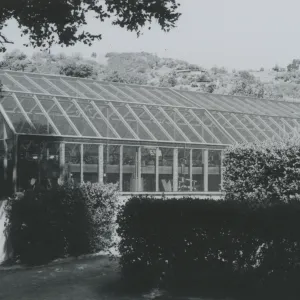 Greenhouse