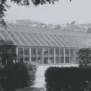 Greenhouse