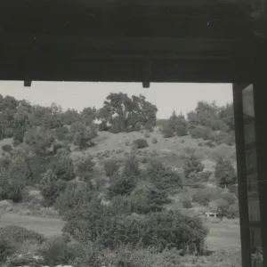View of Meadow from Information Kiosk