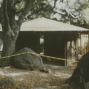 Information Kiosk, 1993 reconstruction (Coastal Live Oak)