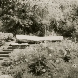 wood bench in Meadow View garden