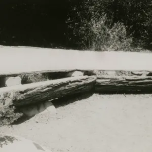 wood bench in Meadow View garden