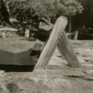 redwood bench prototype, Yosemite
