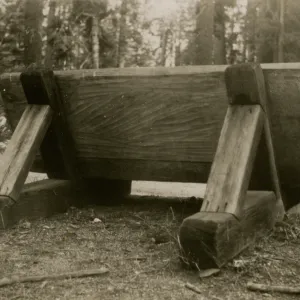 redwood bench prototype, Yosemite