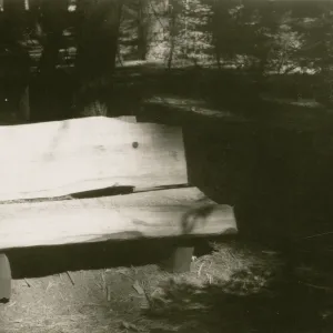 redwood bench prototype, Yosemite