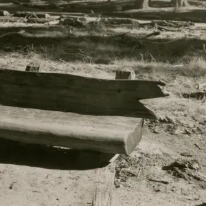 redwood bench prototype, Yosemite