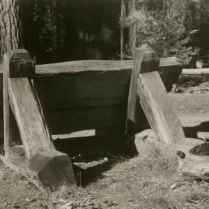 redwood bench prototype, Yosemite
