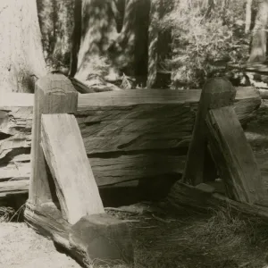 redwood bench prototype, Yosemite