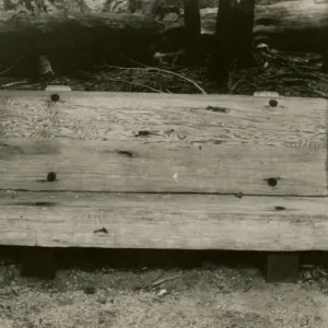 redwood bench prototype, Yosemite