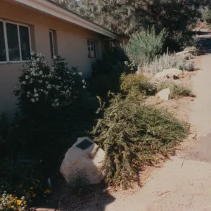 Polly Anderson plaque, 1985, Perennial Bed at Horticulture Unit