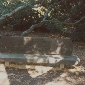 Peter and Leslie Barnett Bench, 1972