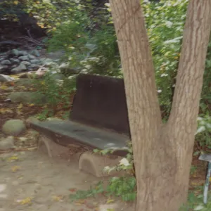 Ethel C. Bliss Bench, 1979, Redwood Section (removed)