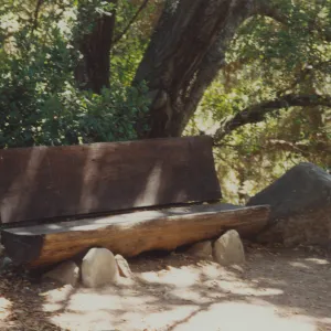 Rica Brunner Bench, 1977, Arroyo Section