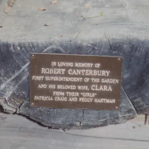 Robert and Clara Canterbury Bench, 1998, Meadow