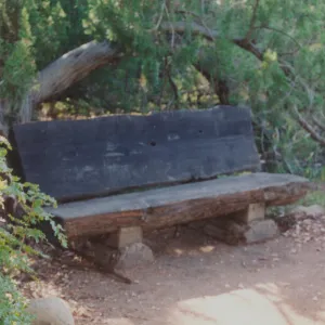 Preston and Janice Cloud Bench, 1990, Meadow