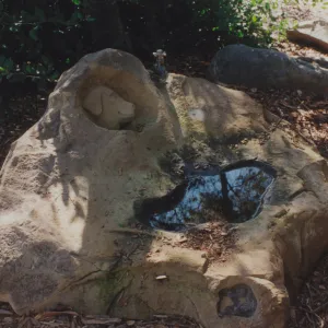dog fountain, dog water basin, Meadow Oaks