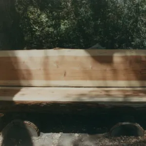 Sydney G. Gest Bench, 1986