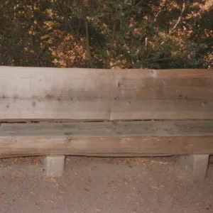 Hilton and Helen Goss Bench, 1979 (original location)
