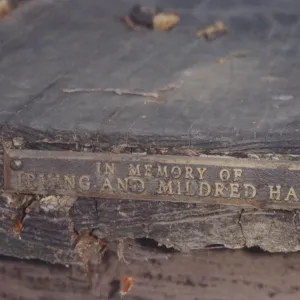 Irving and Mildred Haim Bench, 1979 (replaced in 1994, shared with Perkins)