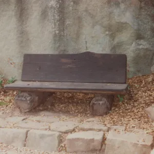 Irving and Mildred Haim Bench, 1979 (replaced in 1994, shared with Perkins)