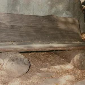 Irving and Mildred Haim Bench, 1979 (replaced in 1994, shared with Perkins)