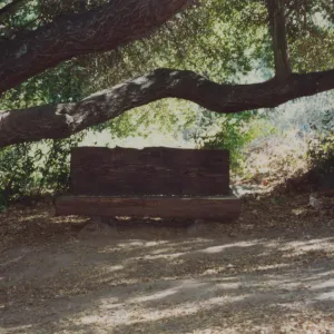 Ellen Hansen Bench, 1982