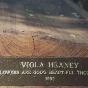 Viola Heaney Bench, 1992