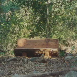 Viola Heaney Bench, 1992