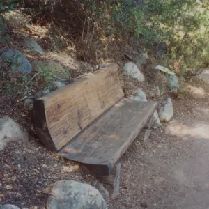 Pam's Bench, Pamela Adele Hooper Bench, 1985
