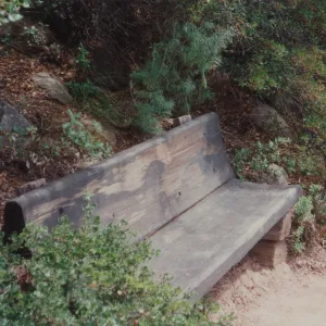 Pam's Bench, Pamela Adele Hooper Bench, 1985