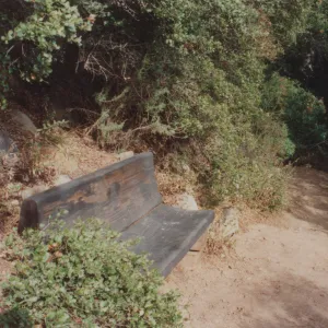Pam's Bench, Pamela Adele Hooper, 1985