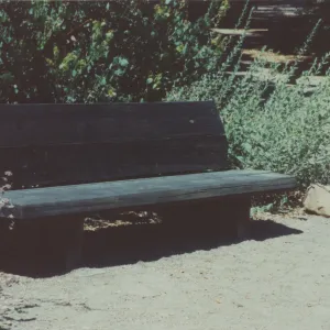 Elizabeth Howland Bench, 1973, Meadow