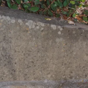 Gertrude Kenward Bench, 1970, Island Section