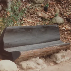 Fred and Lucie Levy Bench, at old site in Redwood Section