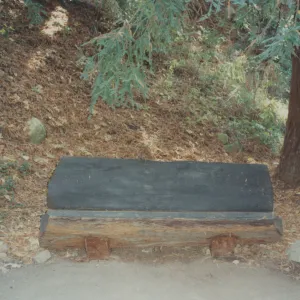 Fred and Lucie Levy Bench, at new site in Redwood Section