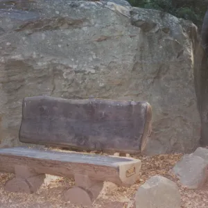 Paul & Phyllis Margolis Bench, 1995