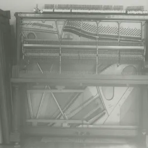 Veronica Muller, Steinway Piano, in the Blaksley Library