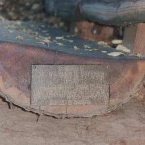 Wilhelm G. Overeem Bench, 2001, Island Section