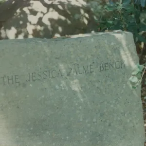 Jessica Palme Bench, 1967, stone bench under the Meadow Oaks