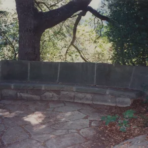 Jessica Palme Bench, 1967, stone bench under the Meadow Oaks
