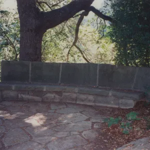 Jessica Palme Bench, 1967, stone bench under the Meadow Oaks