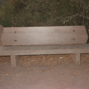 Phyllis Pettit Bench, 1974