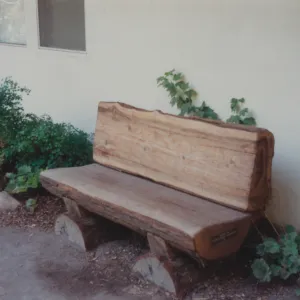 Santa Barbara Foundation Bench, against the Arroyo Room