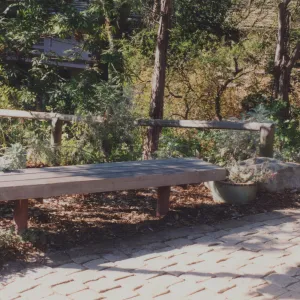 Wilma Silipo Bench, 1998, at Garden Entrance