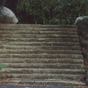 upper steps, Clara Small Smith Entrance Steps, 1946