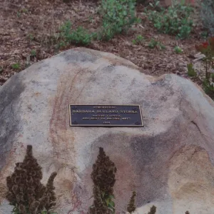 Barbara Bullard Storke Plaque on Boulder, 1984, Porter Trail