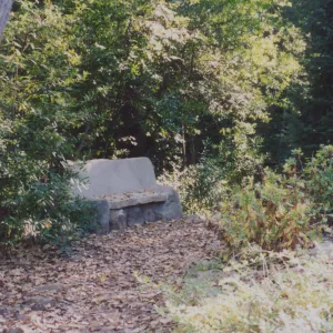Evelyn Studebaker Bench, 2001, Island Section