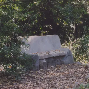 Evelyn Studebaker Bench, 2001, Island Section